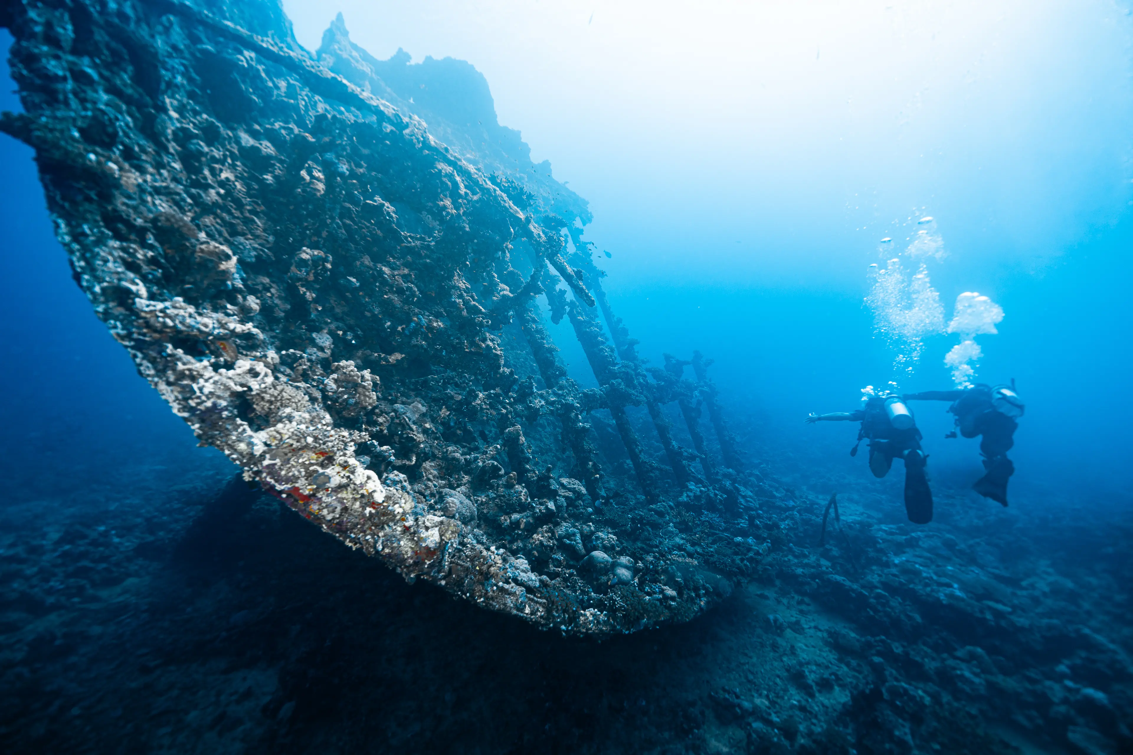 رحلة غوص في أبو مدافع