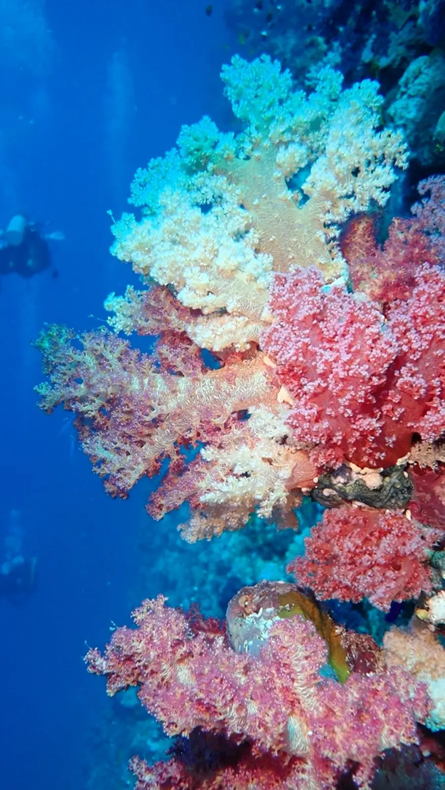 رحلة نهاية الأسبوع من رابغ